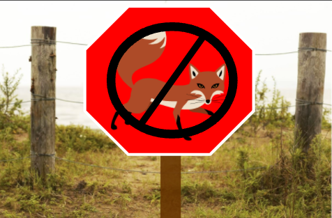 no-foxes.png